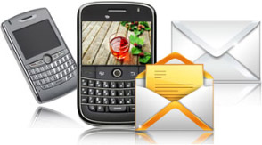 Bulk SMS Mobile Marketing