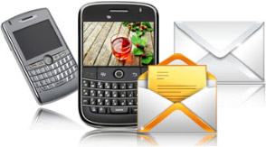 Bulk SMS BlackBerry